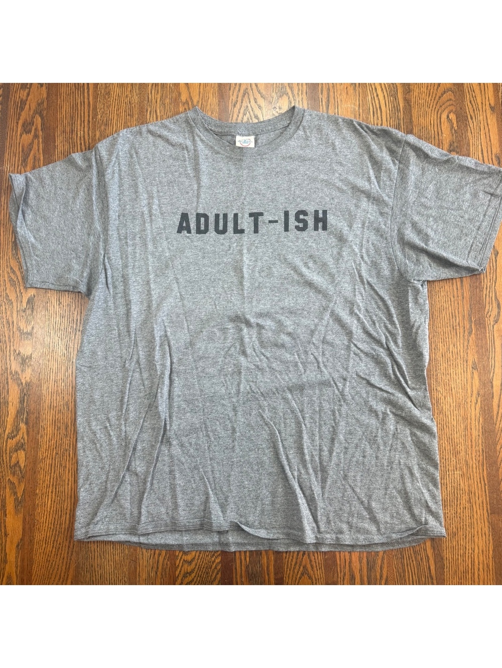 Adult-ish Funny Graphic T-Shirt Gray Short Sleeve Mens Size XL Sarcastic Humor